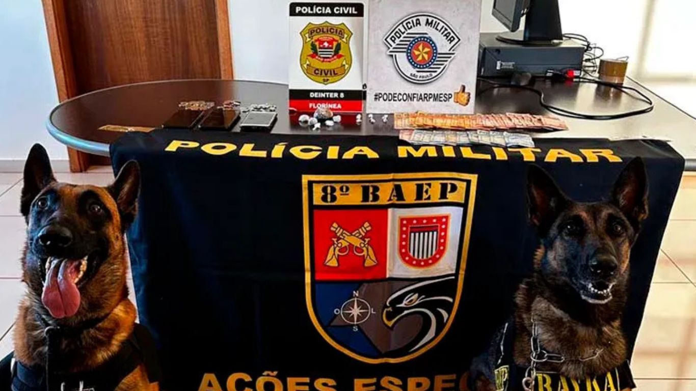 Operação conjunta das polícias Militar e Civil prende homem por tráfico de drogas em Florínea