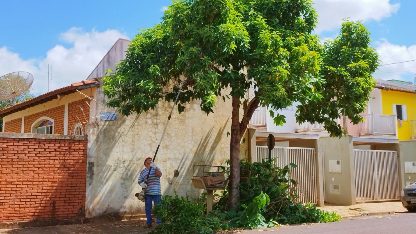 Prefeitura de Pedrinhas Paulista abre inscrições para curso gratuito de poda de árvores
