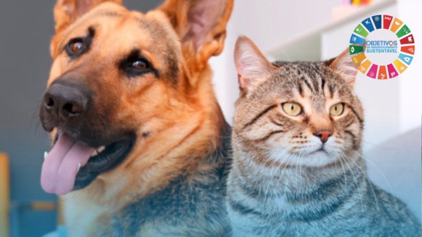 Prefeitura de Florínea abre cadastro para castração de cães e gatos no dia 6 de maio