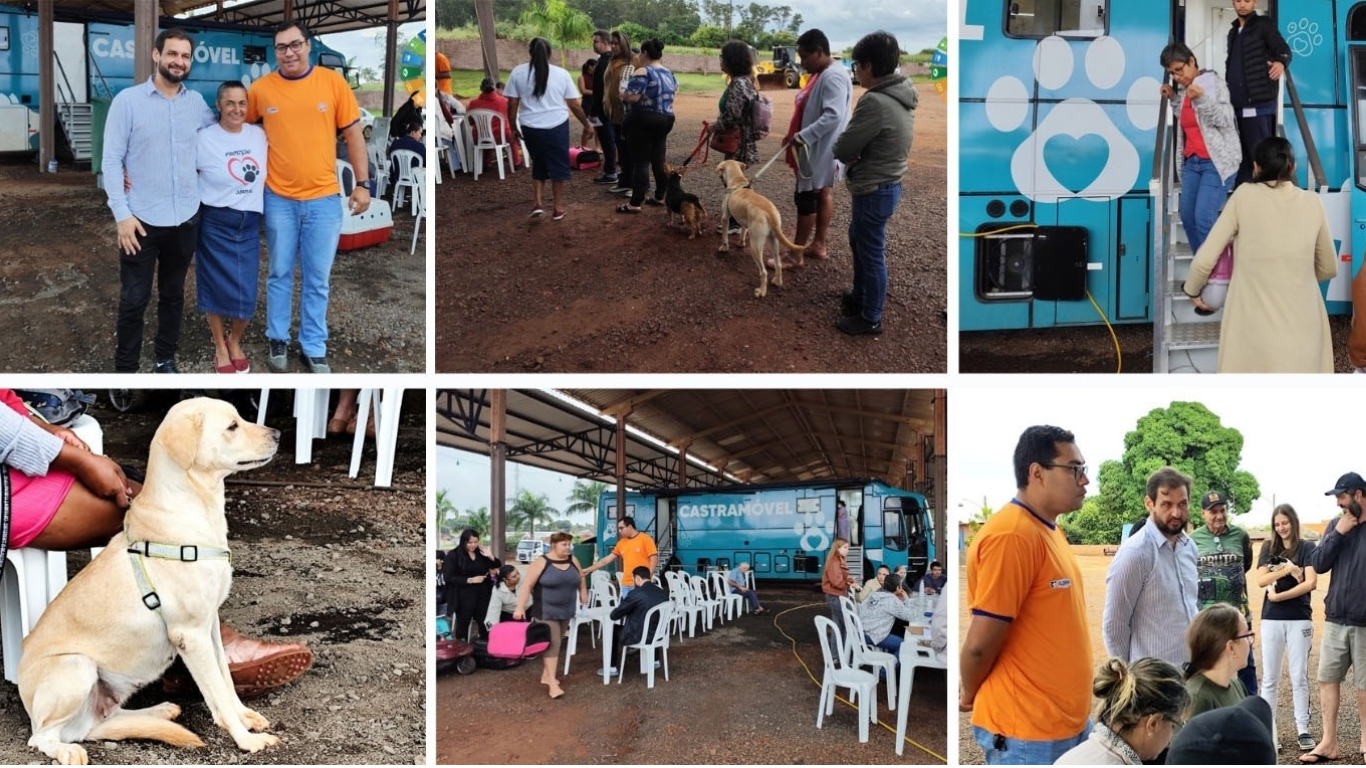 Castra Móvel realiza 80 castrações em Florínea