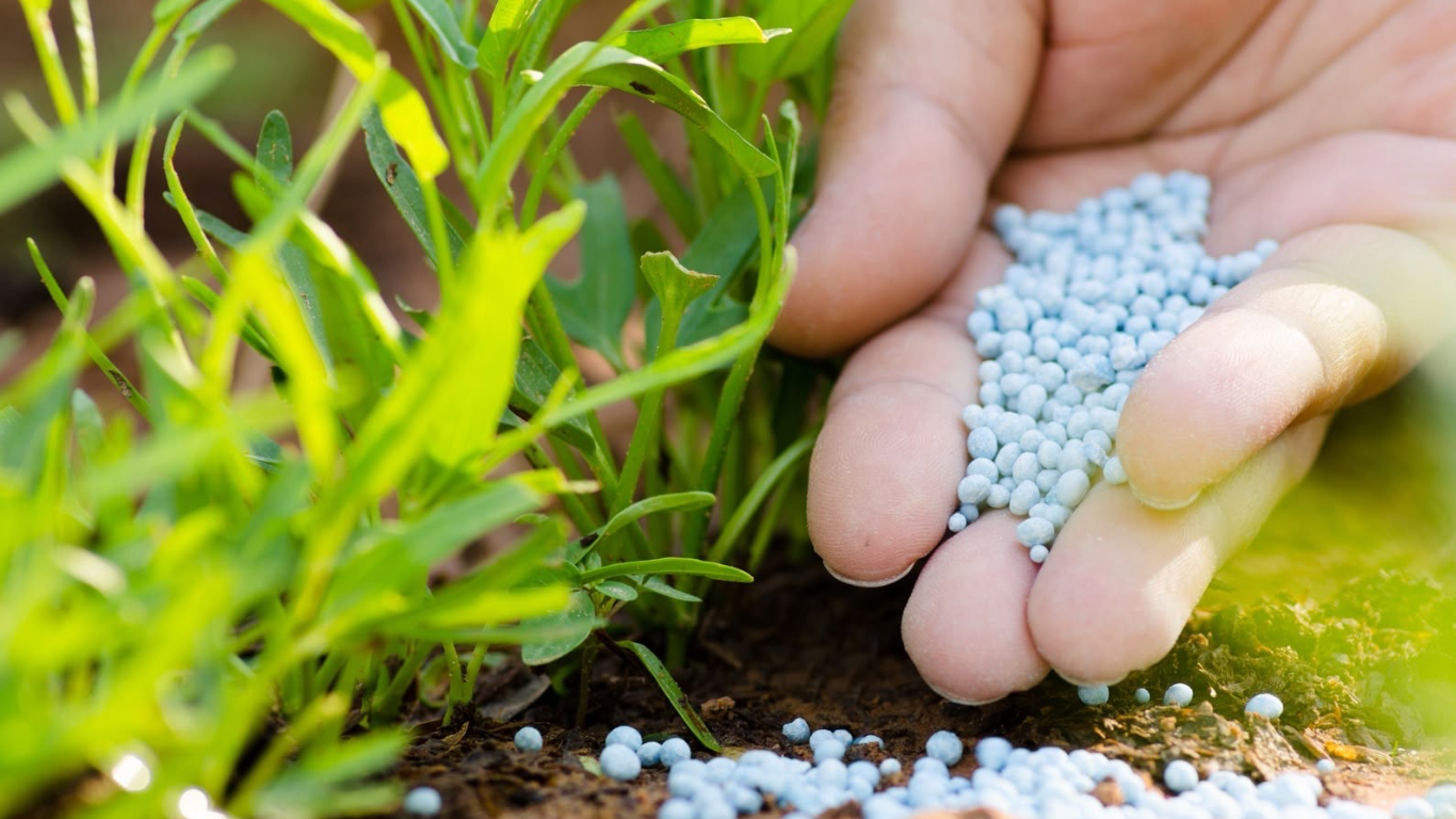 Fim de benefício tributário eleva custos de insumos agrícolas e preocupa produtores rurais