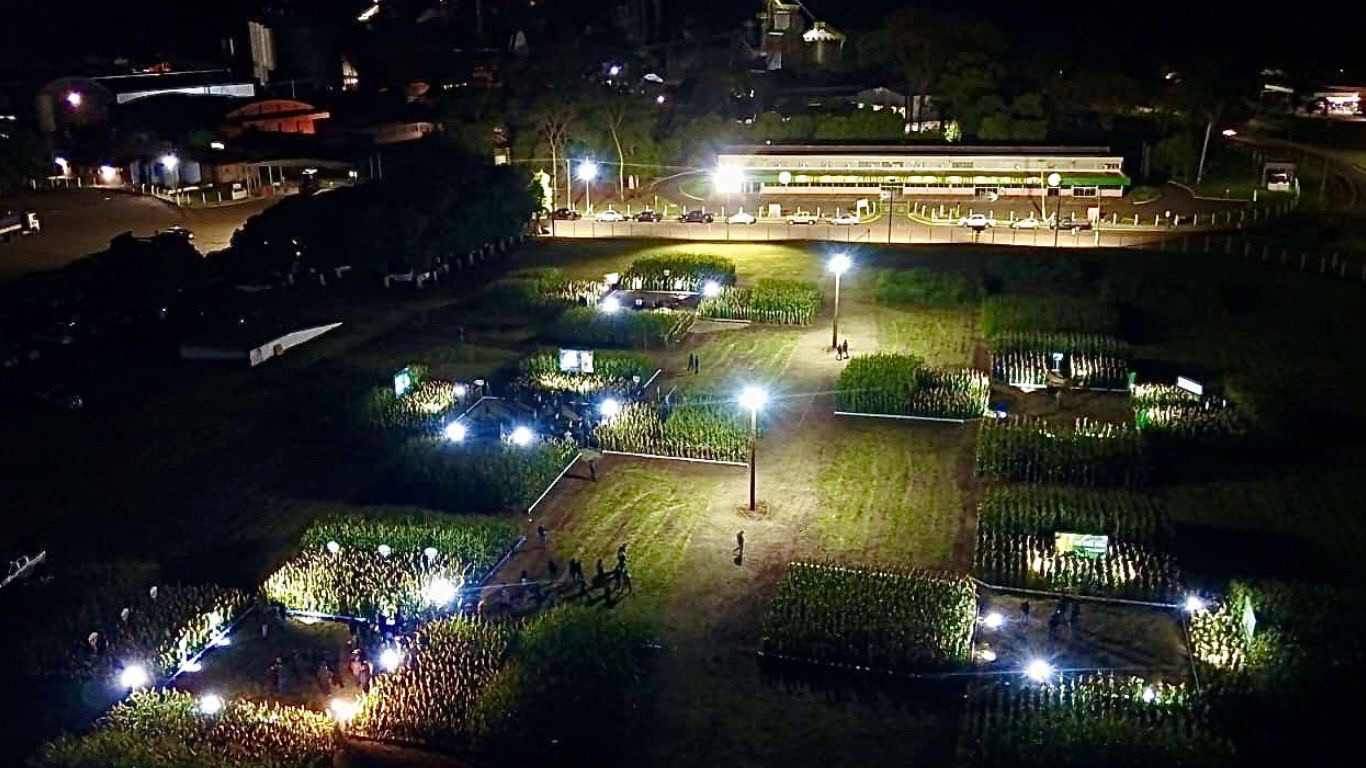 Noite de Campo da Cooperativa de Pedrinhas Paulista ocorre no próximo dia 30 de junho