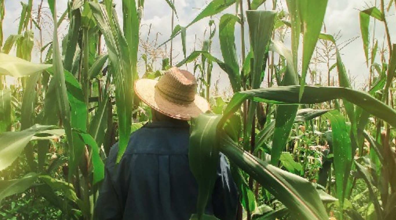 Prefeitura de Florínea vai promover encontro com palestra técnica para celebrar o Dia do Agricultor
