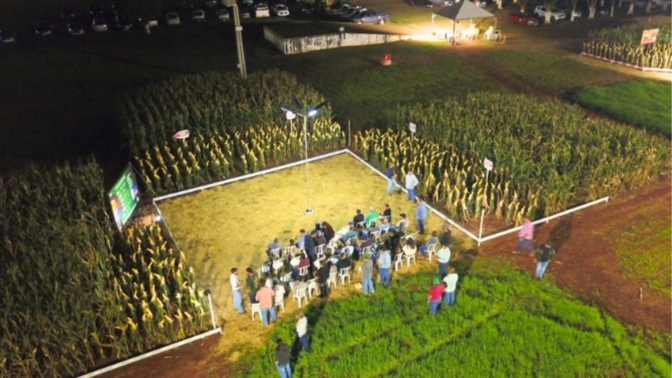 Cooperativa de Pedrinhas Paulista realiza Noite de Campo voltada à cultura do milho