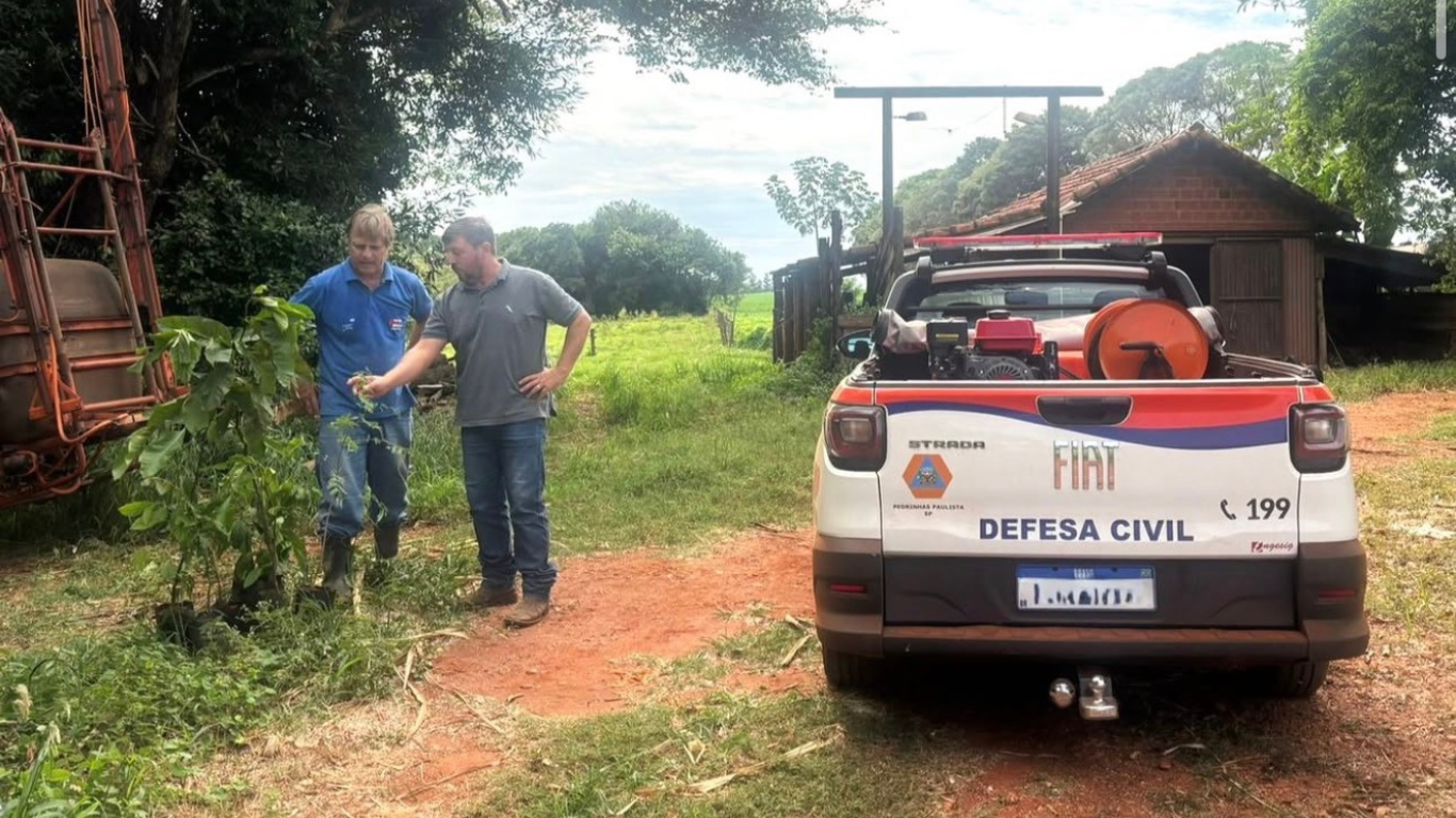 Prefeitura de Pedrinhas Paulista incentiva recuperação ambiental com distribuição de mudas nativas a produtores rurais