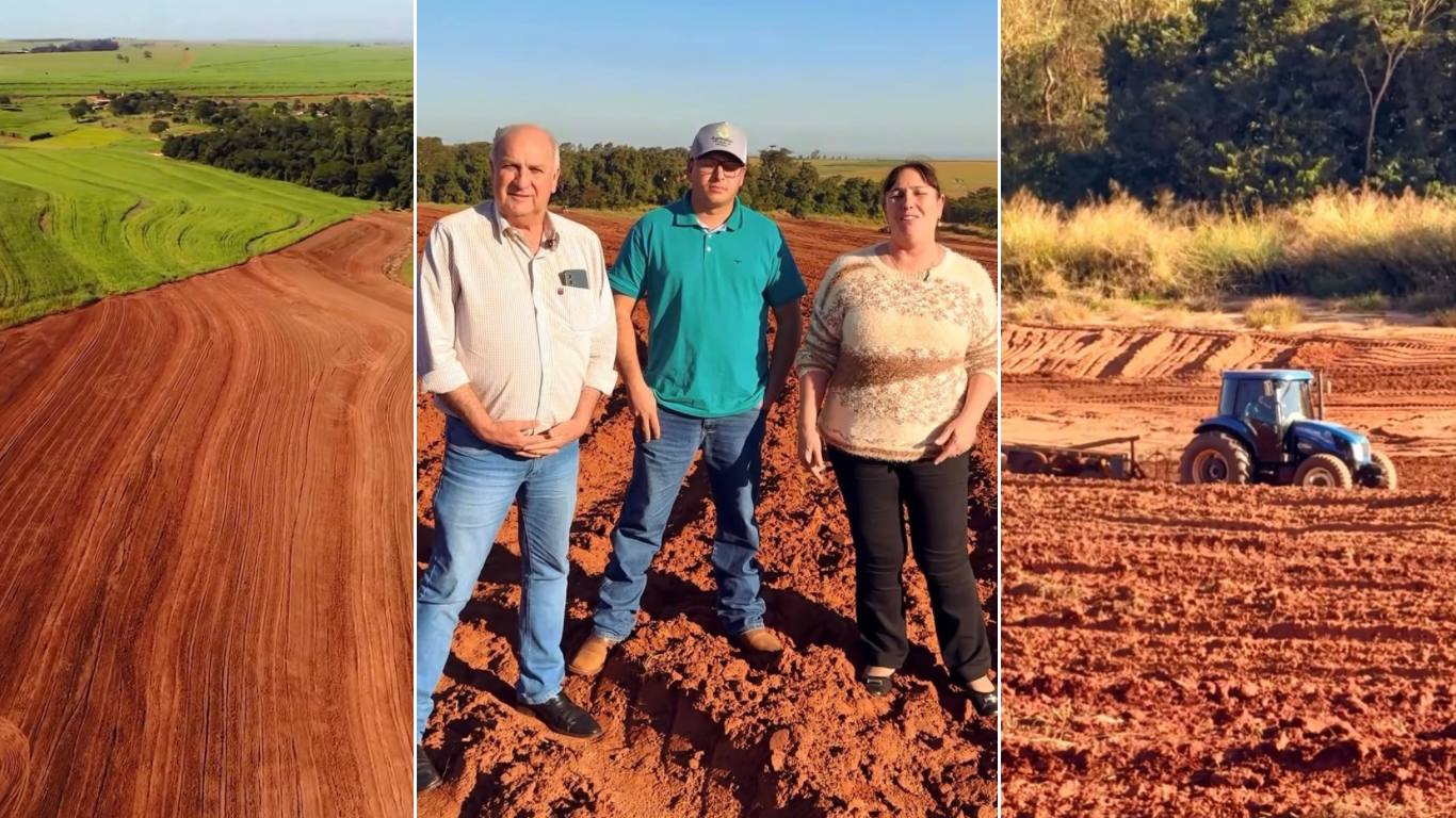 Recuperação de área degradada fortalece agricultura familiar e preservação ambiental em Tarumã
